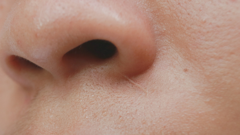 A closeup of a human nose