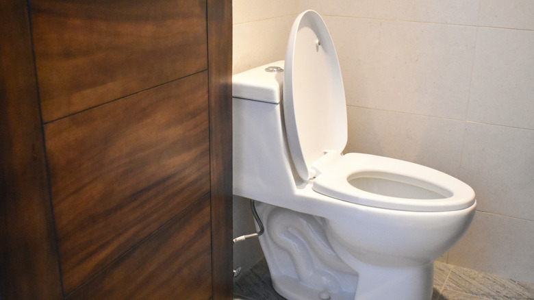 Photo of a toilet with the lid up