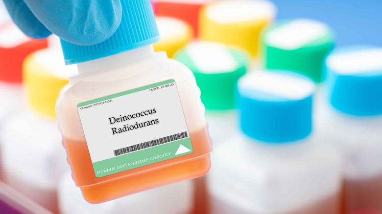 A gloved hand holds up a bottle labeled Deinococcus radiodurans