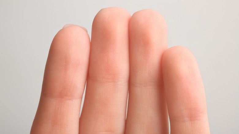 Close up of human fingertips on a gray background
