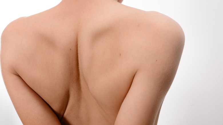 Close up of the upper back and shoulders