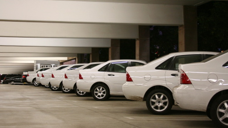 A row of the same white car.