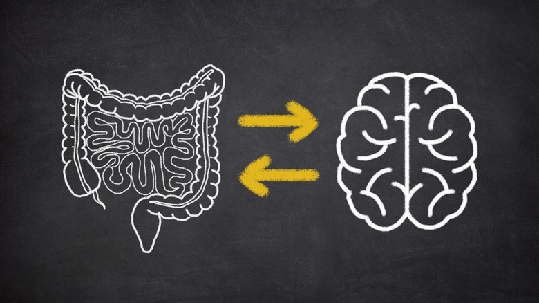 Chalkboard style drawing of the human digestive system and brain with arrows pointing between the two