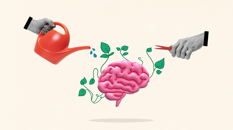 Graphic depicting a brain with a plant being watered and pruned