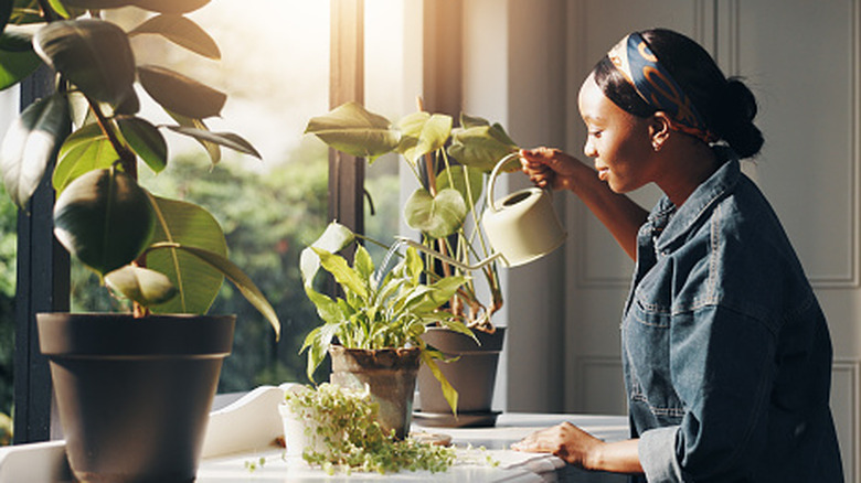 A person watering plants in front of a window.