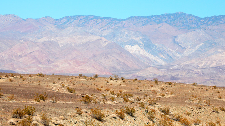A landscape view of a dessert.