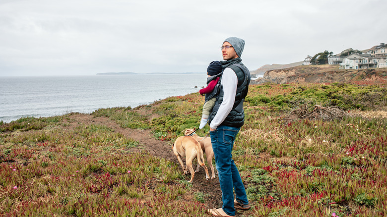 A man holding a baby in a harness while walking two dogs in coastal California.