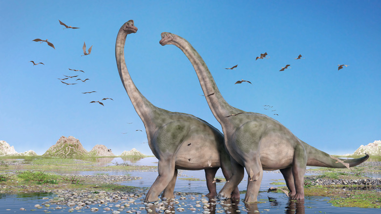 digital illustration of sauropods and pterosaurs
