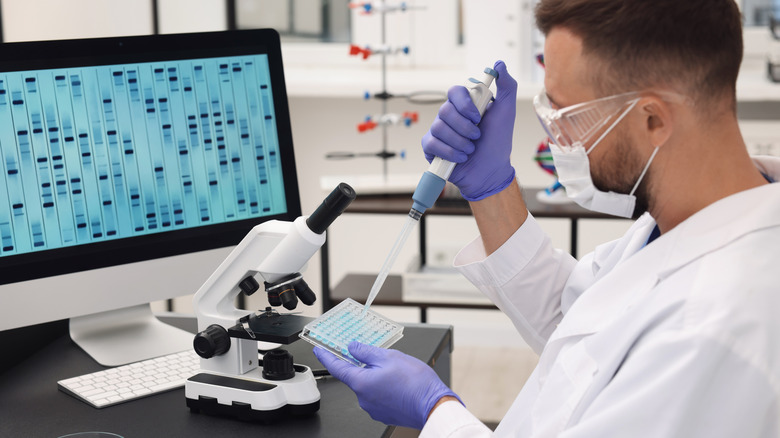 Researcher studying genetic information in a lab