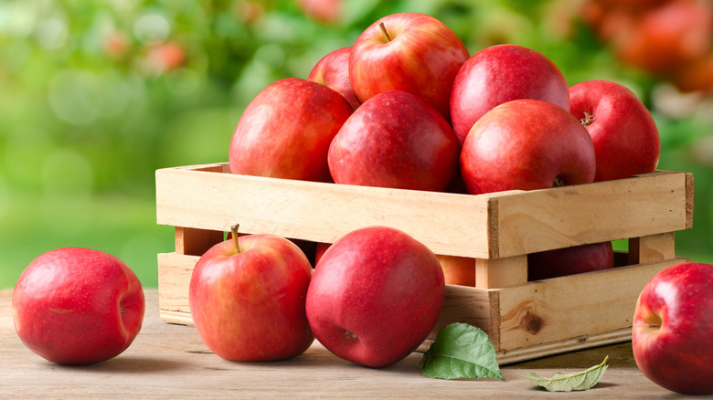 Small crate on a table in an orchard with red apples