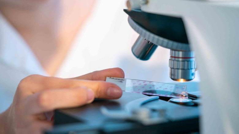 Hand placing slide onto microscope under microscope lens