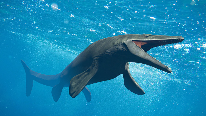 3D illustration of a mosasaur underwater
