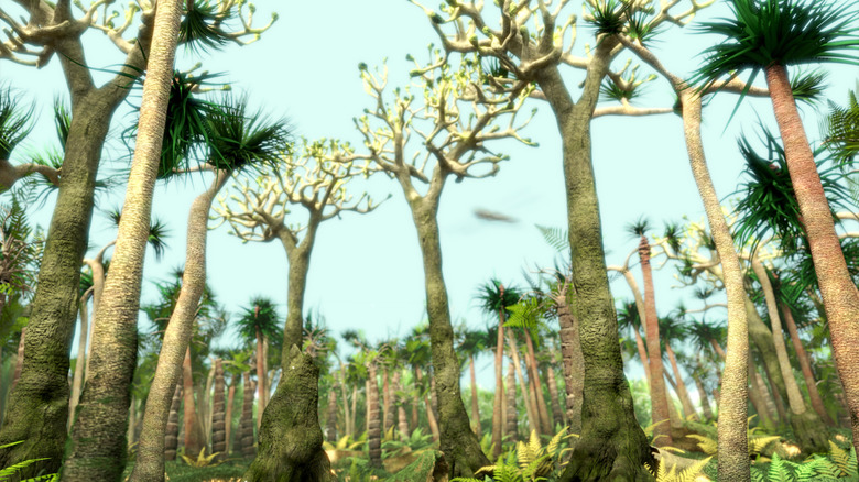 Ancient trees in a Carboniferous period forest