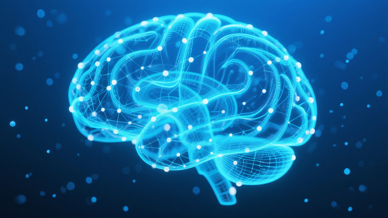 Illustration of the brain in blue and white colors