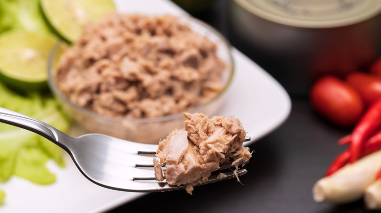 Cooked tuna on a fork and plate in background