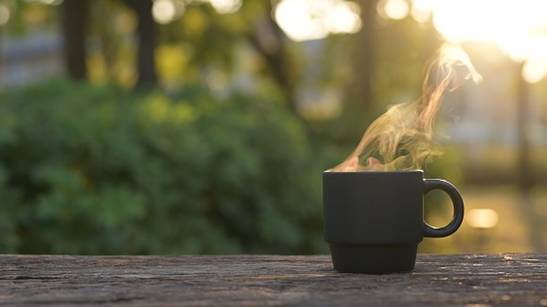 A steaming mug resting on a log with a sunrise in the background.
