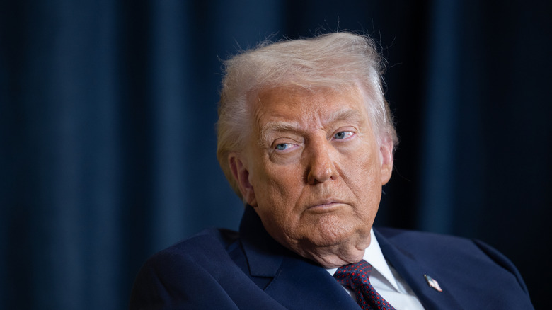 Donald Trump mid-shot portrait with makeup and serious look