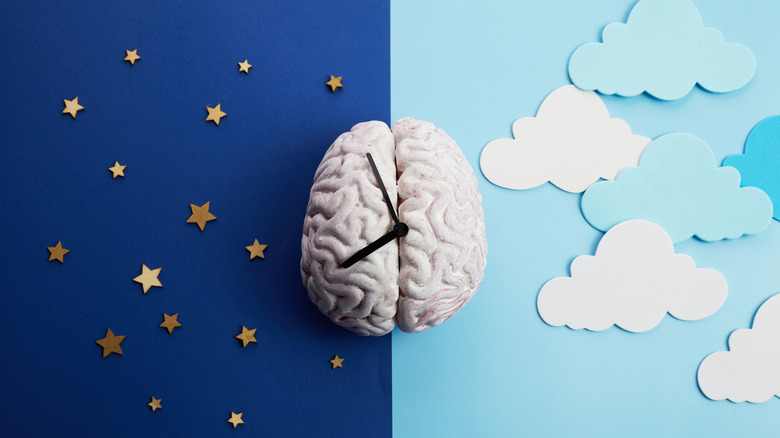 A toy brain with the arms of a clock resting on top of it, over a backdrop that is half light blue with paper clouds and half dark blue with paper stars.
