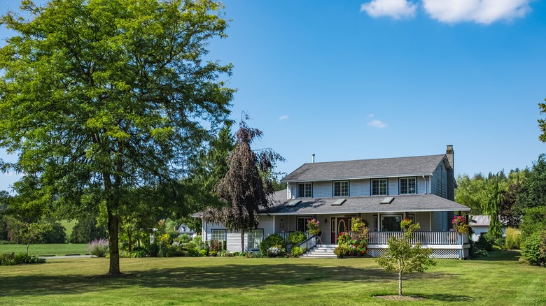 Residential house with enormous tree in the front yard