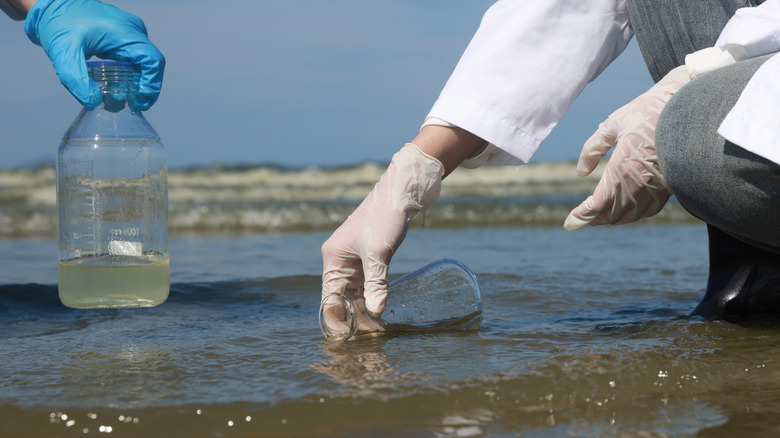 Scientists collecting seawater for testing