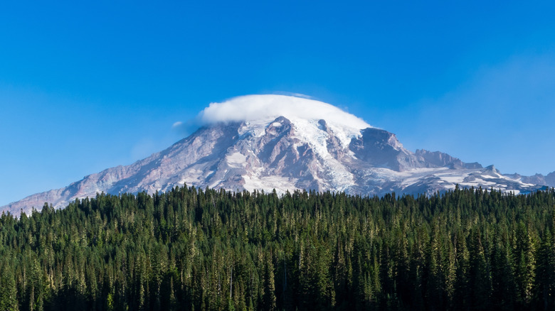 View of Mount Rainier in Washington standing above the trees with clouds hovering over its peak