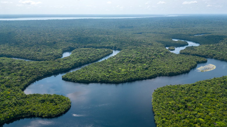 Jungle river splitting, blue water, cloudy sky