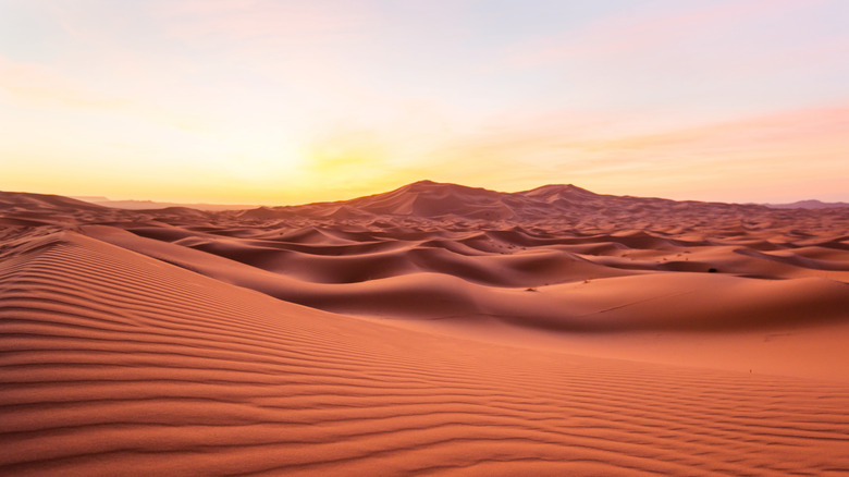 Sahara desert in Morocco