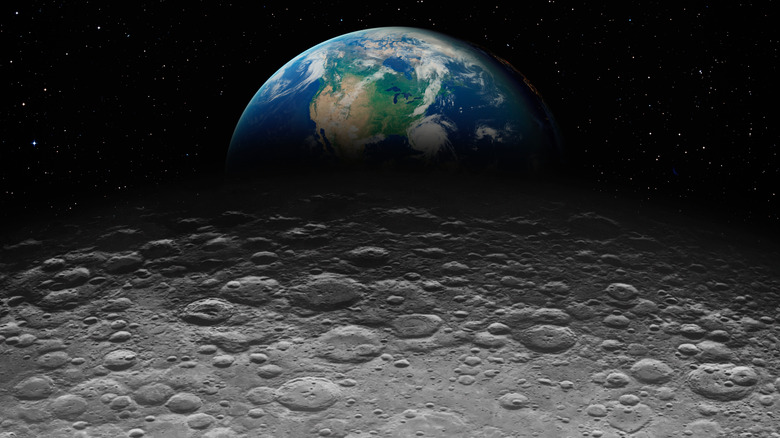 Half of the moon is visible in a black sky
