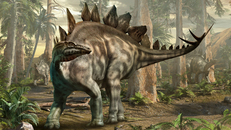 A 3D illustration shows a Stegosaurus standing in a forest