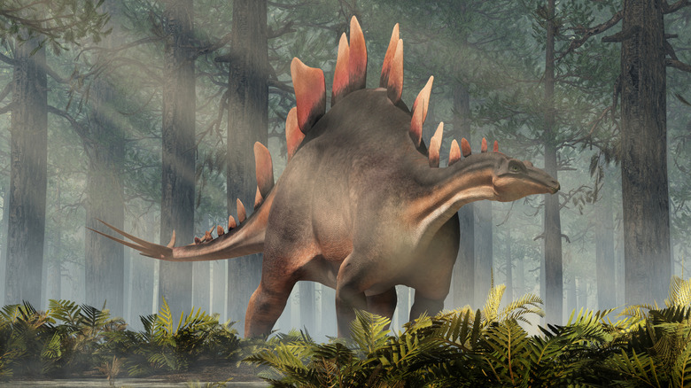 A 3D illustration shows a Stegosaurus standing in a forest with sun rays shining through the trees