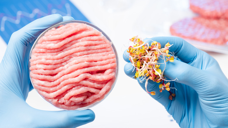 gloved hands hold sprouts and ground meat with lab charts in background
