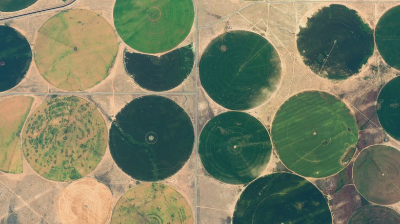 Central pivot irrigation circles