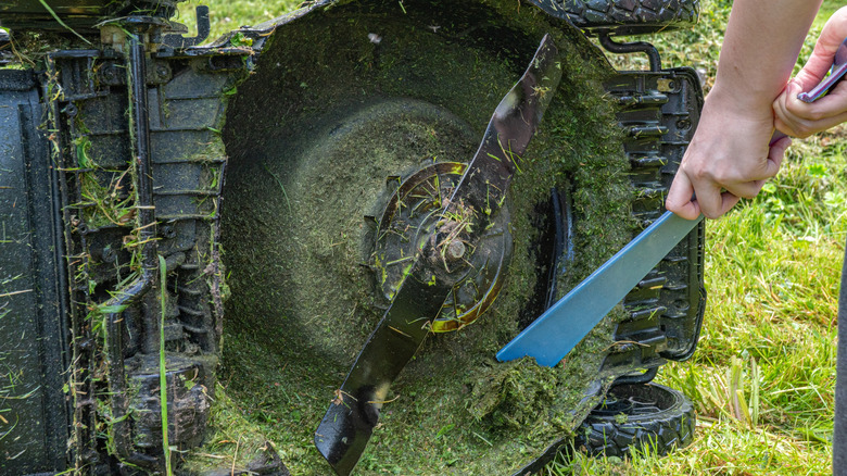 Close up of lawnmower blades being cleaned
