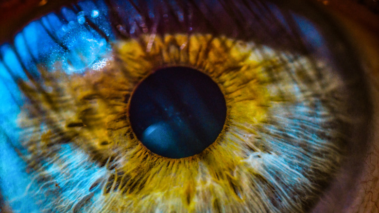 A closeup shows a green iris in a human eye