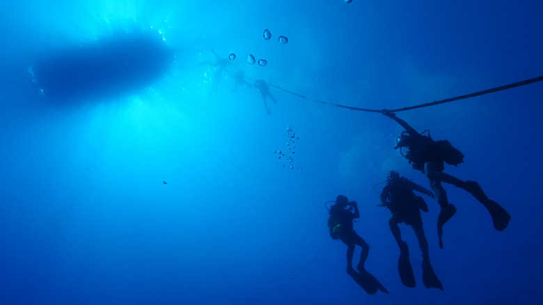 Group of divers safely ascending to the ocean surface