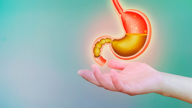 Cartoon graphic of a half-full stomach