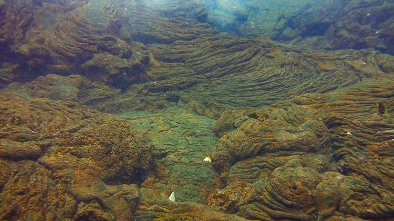 solidified lava flow underwater