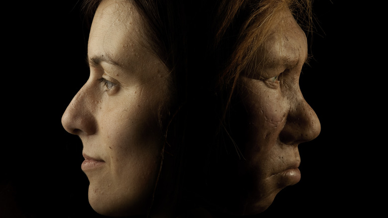 juxtaposition of modern human and Neanderthal reconstruction