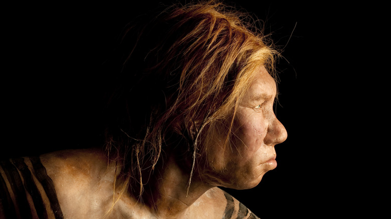 sculpture of Neanderthal woman