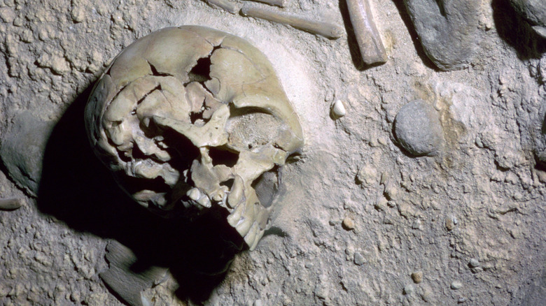 reconstruction of Neanderthal burial