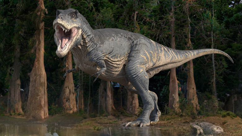3D illustration of a T. rex