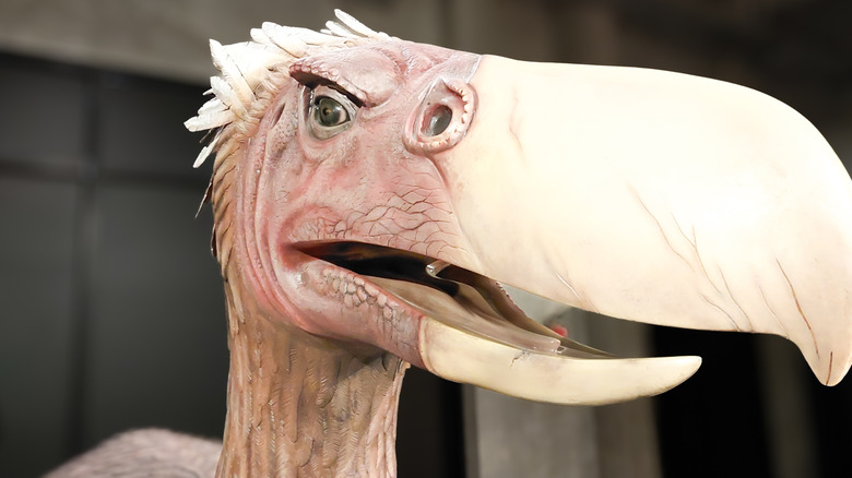 Terror bird statue