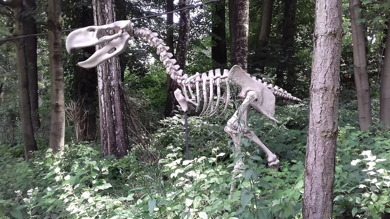 Terror bird skeleton in woods