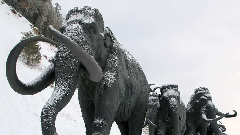 Sculptures of mammoths in Russia