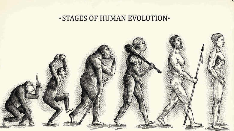 Evolution of man illustration