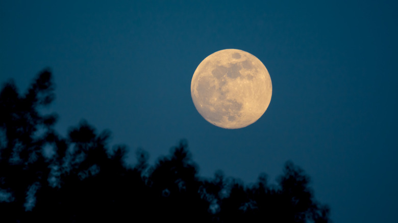 pale orange full buck moon