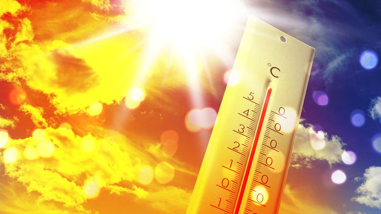 Thermometer set against an orange and blue sky