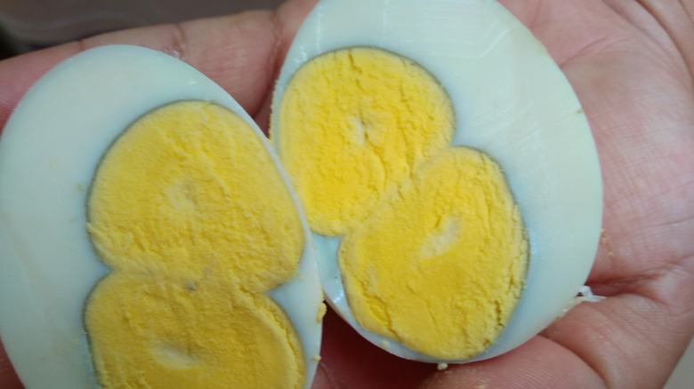 Hard boiled egg with double yolk in center