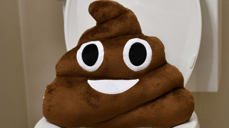 Close-up of a smiling poop emoji plushy resting on an open toilet seat, seemingly floating