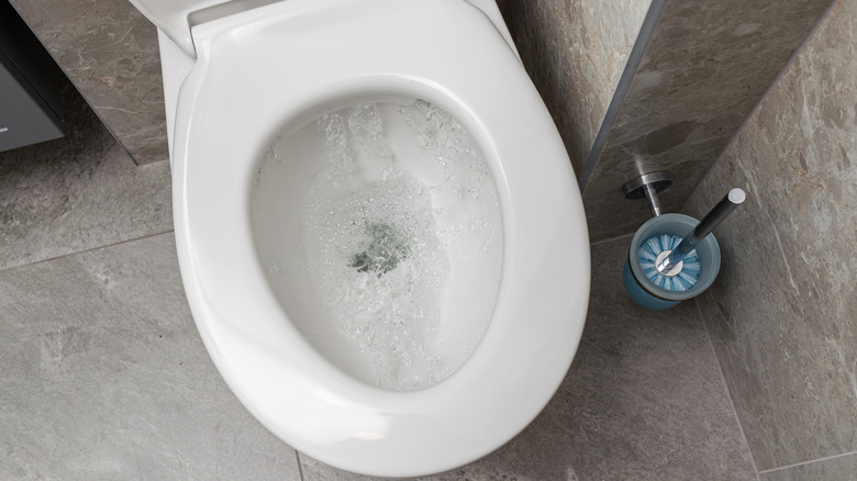 Water running in flushing toilet seen from above.